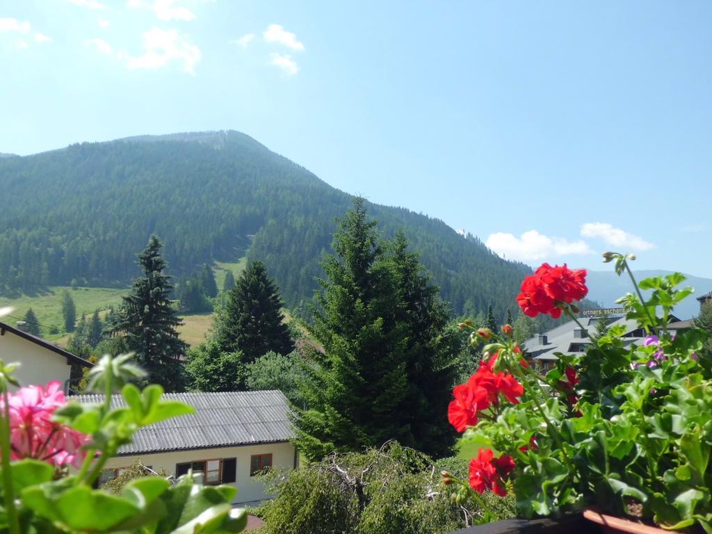 Haus Susanne Apartment Bad Kleinkirchheim Phòng bức ảnh